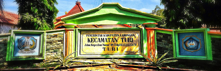 Manajemen Usaha Kecil Di Kecamatan Turi